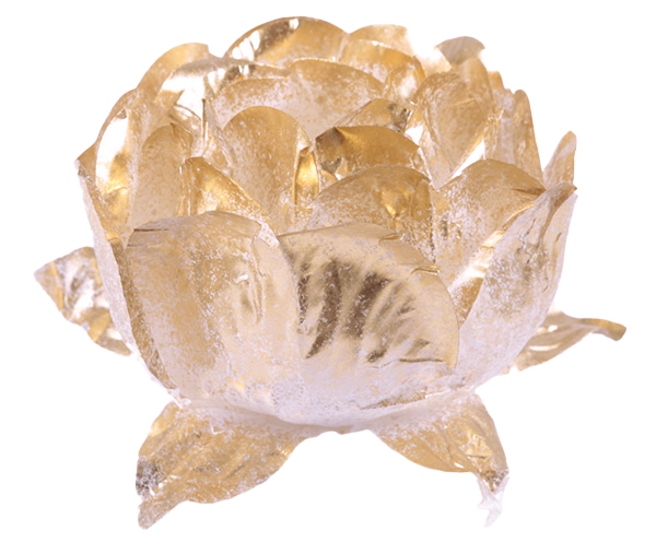 BELA DOURADO DOURADO