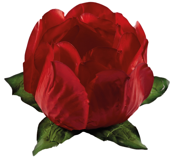 PRINCESA VERMELHO