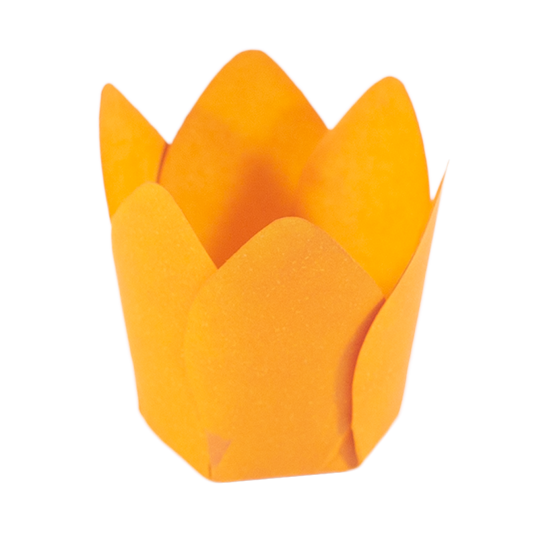 MÔNACO   LARANJA