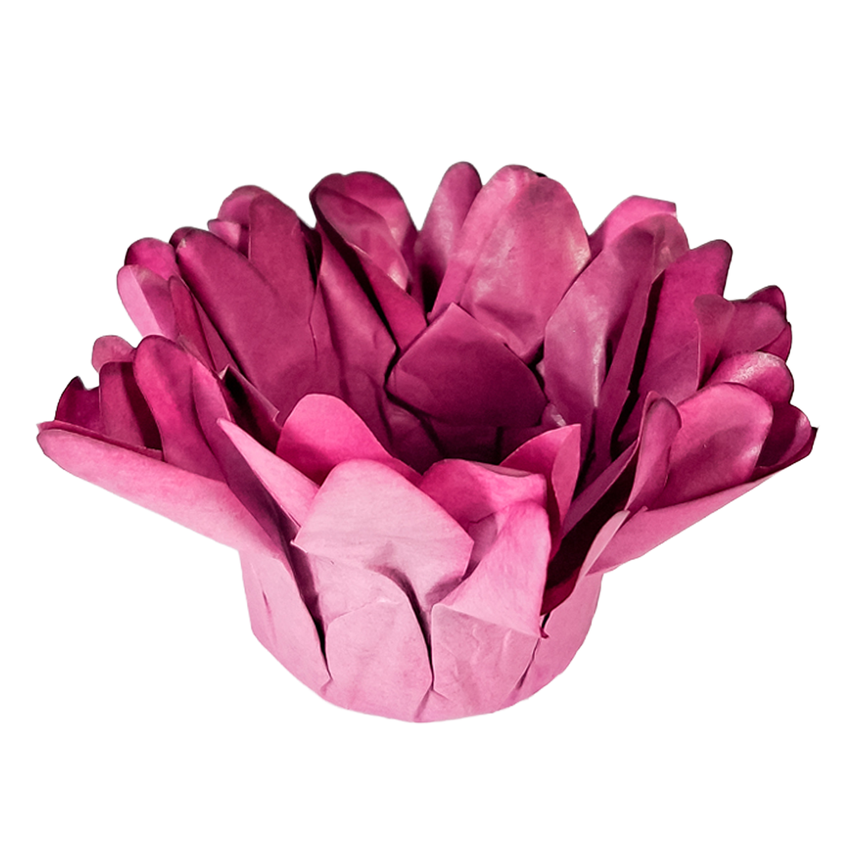 Madri Rose