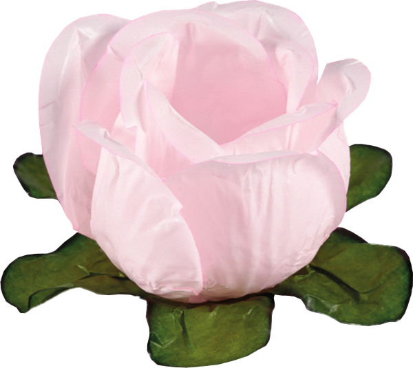 RAINHA ROSA BEBÊ