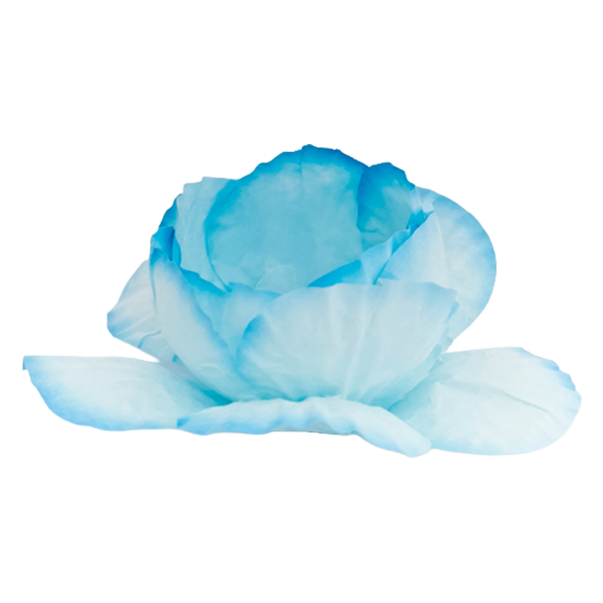 Gucci Azul claro
