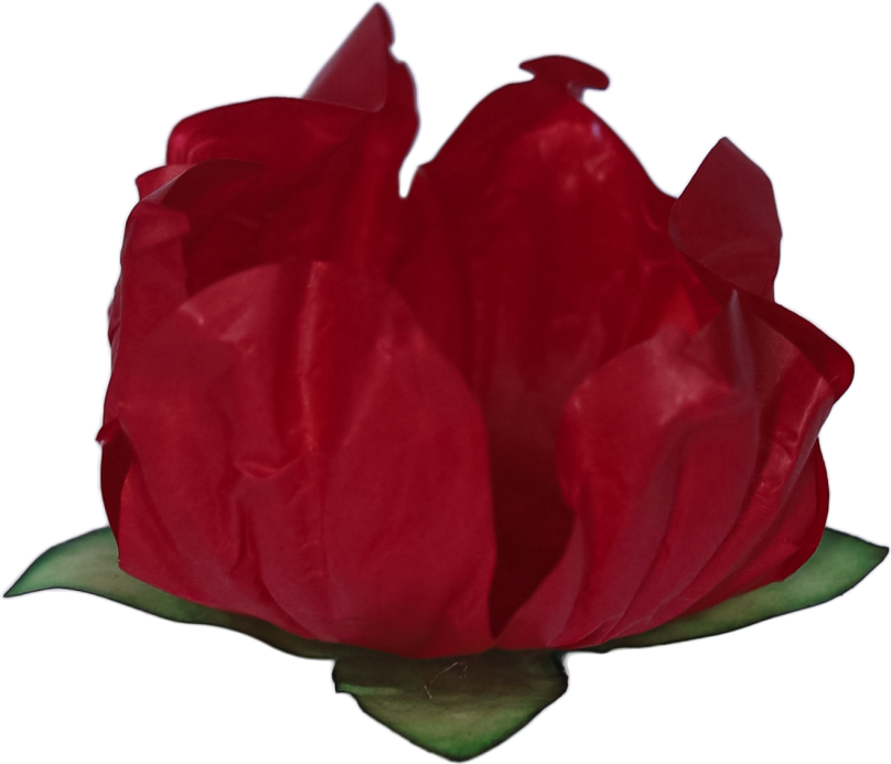 STYLO VERMELHO