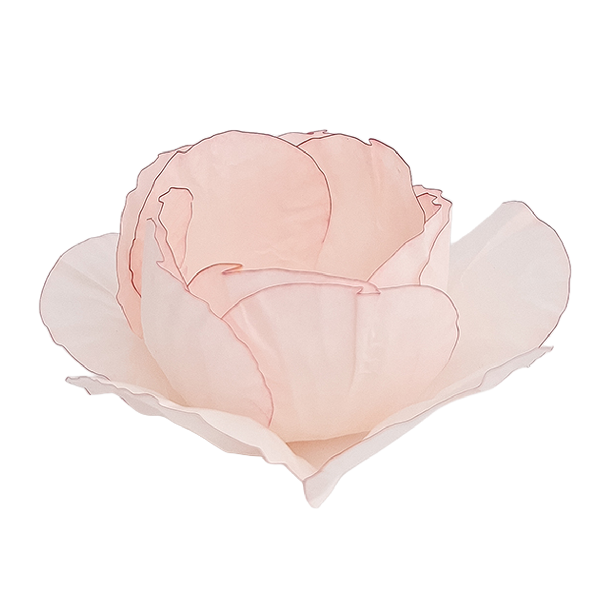 Gucci Creme