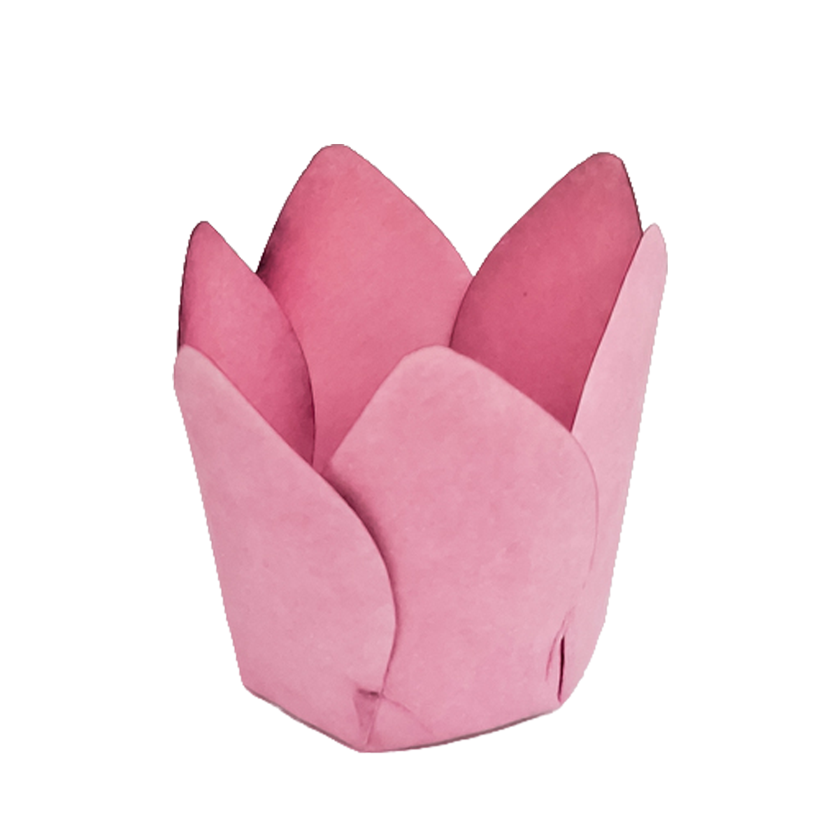 Monaco rosa seco