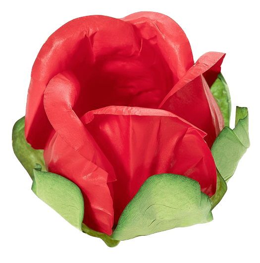BOTÃO DE ROSA VERMELHO