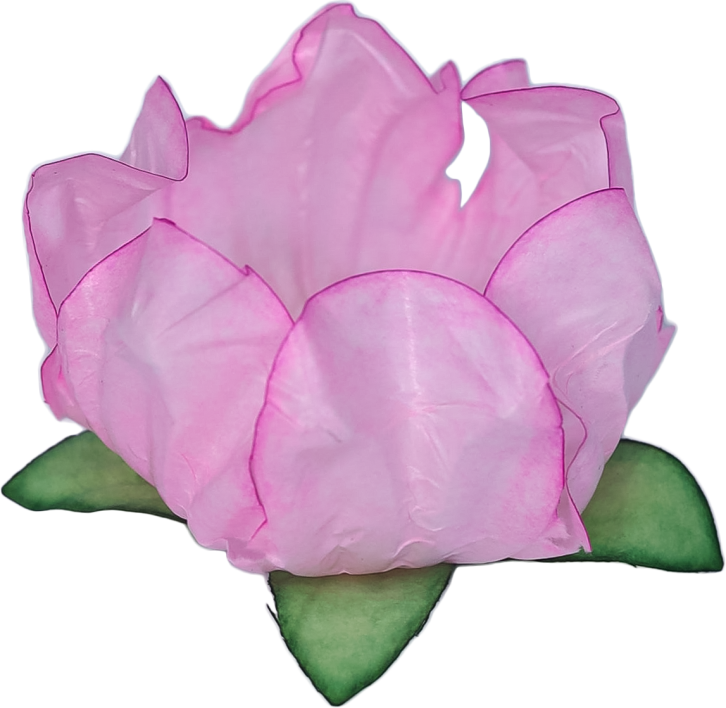 STYLO ROSA CLARO