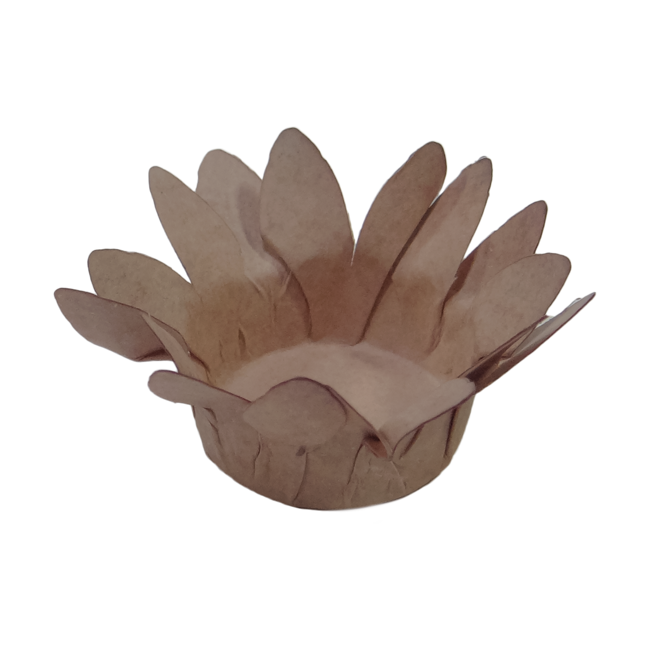 MINI MADRI AVELÂ