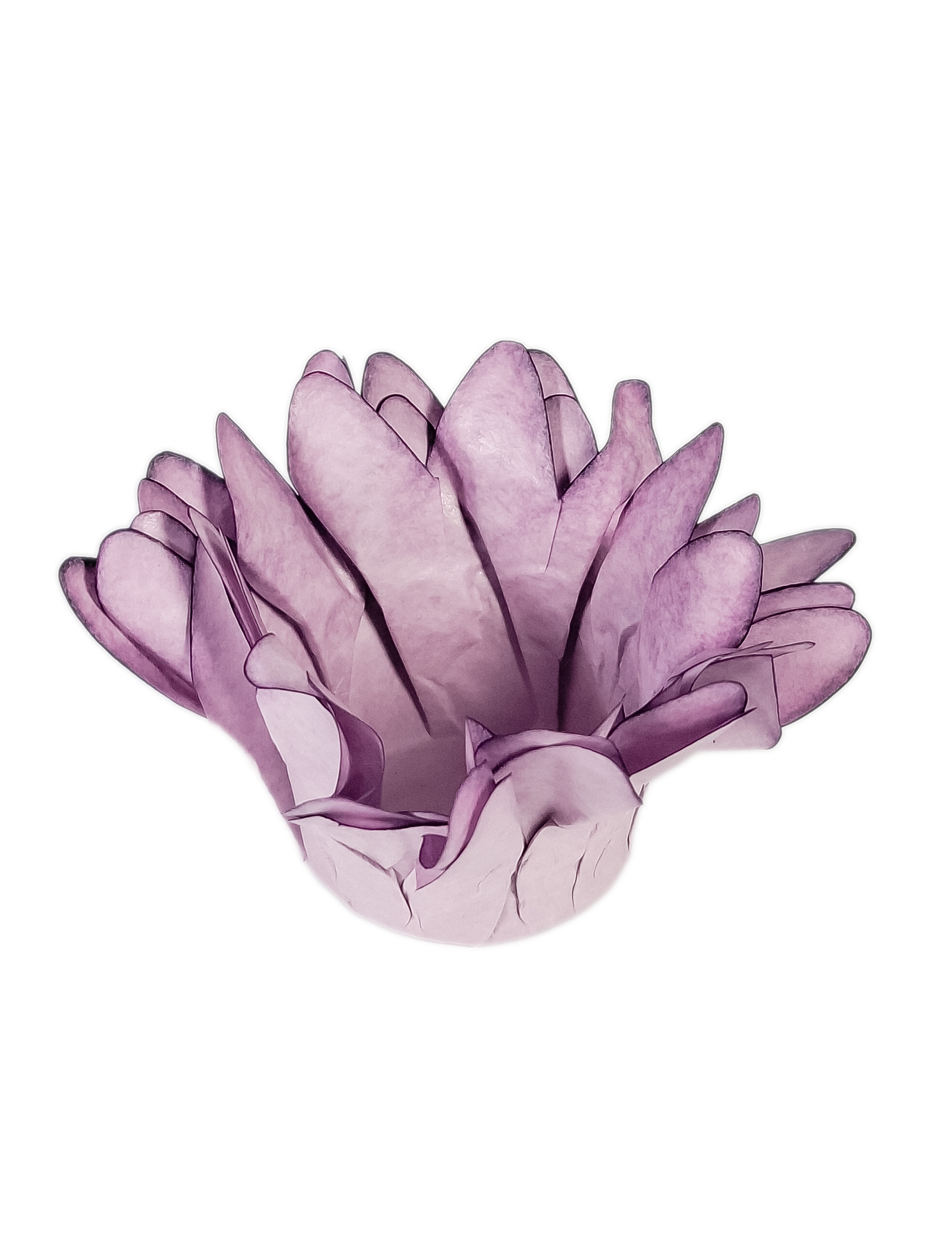Madri Lavanda clarissimo