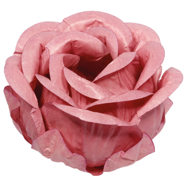 MAGNÓLIA ROSA SECO 1 (Personalizado)