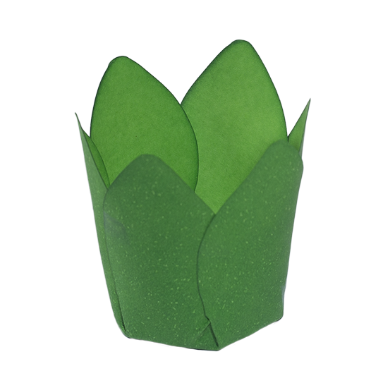 MÔNACO   VERDE LIMÃO CLARO