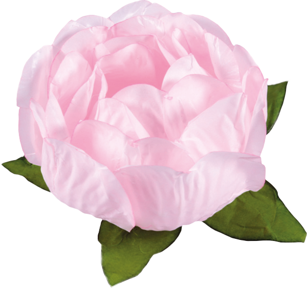 BELA ROSA BEBÊ