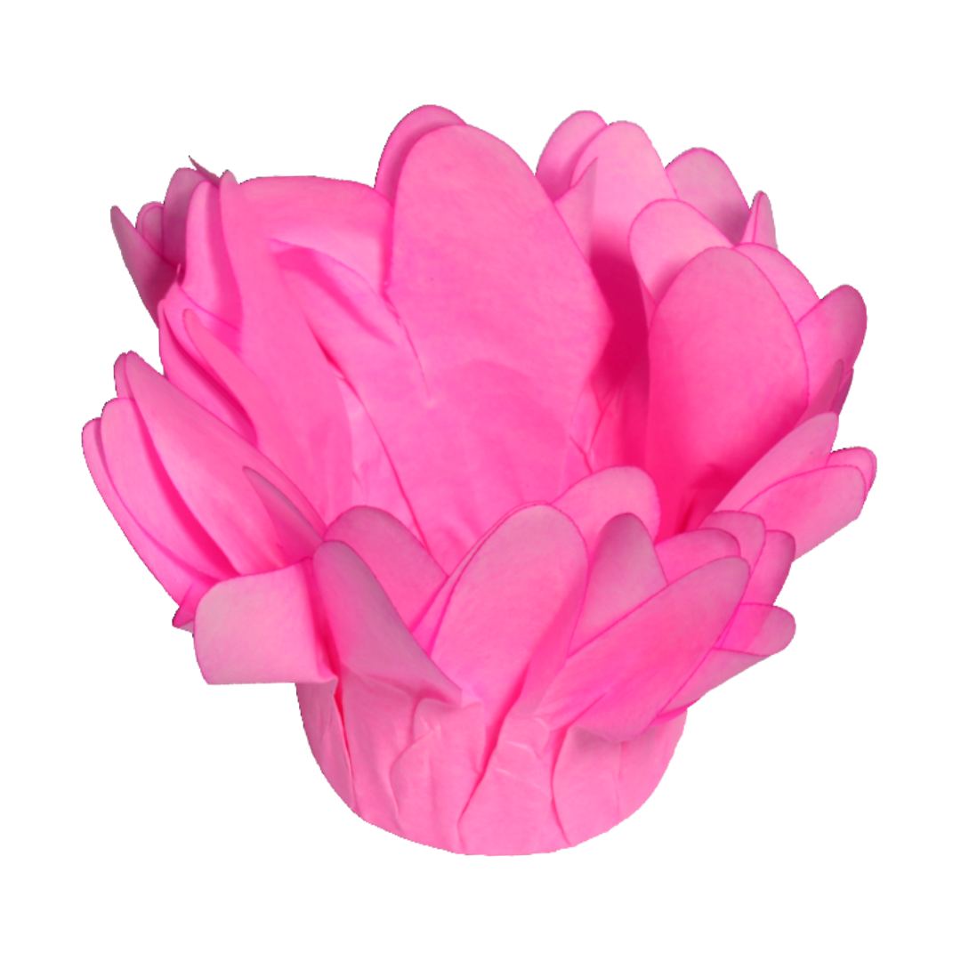 MADRI ROSA CLARO