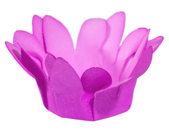 MINI MADRI   ROSA CLARO