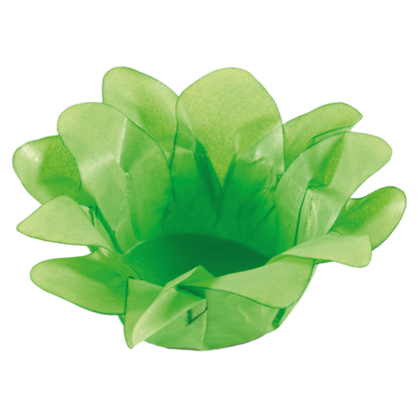 LÍRIO VERDE LIMÃO