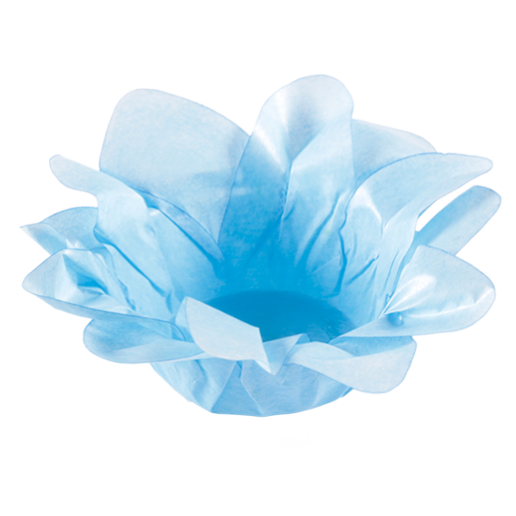 LÍRIO AZUL CLARO