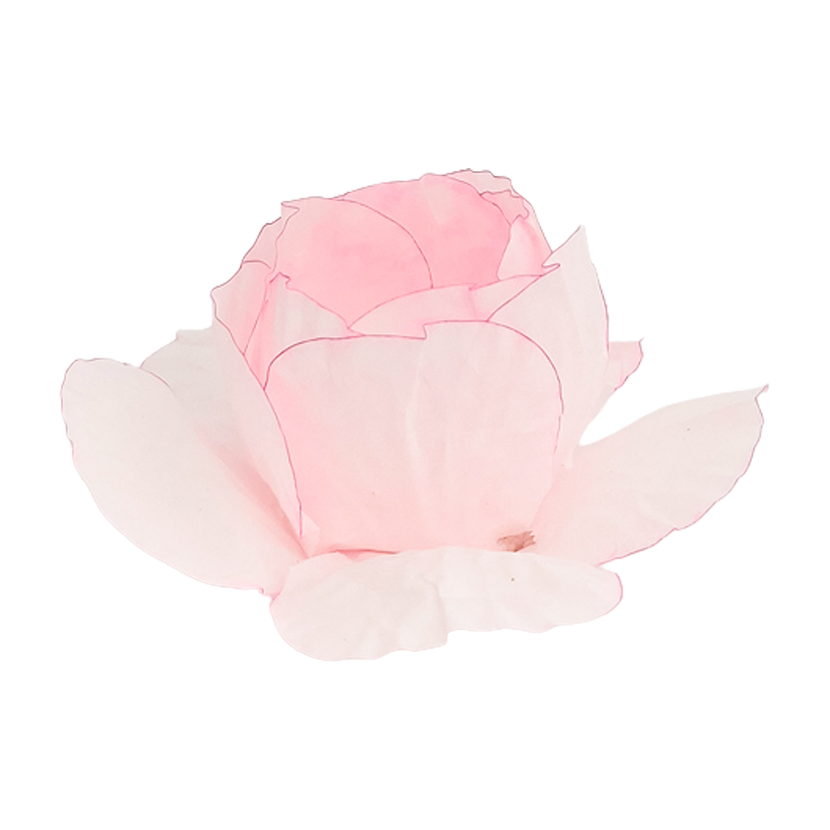 Gucci Rosa bebe