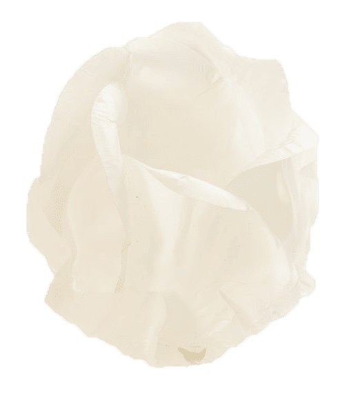 BOTÃO DE ROSA BRANCO BRANCO