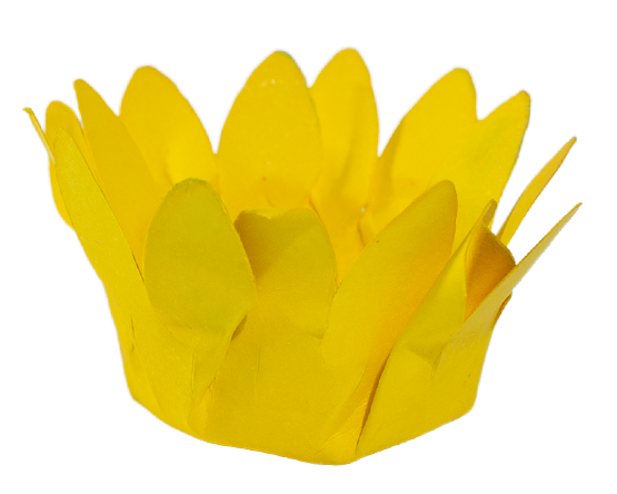 MINI MADRI   AMARELO VIVO