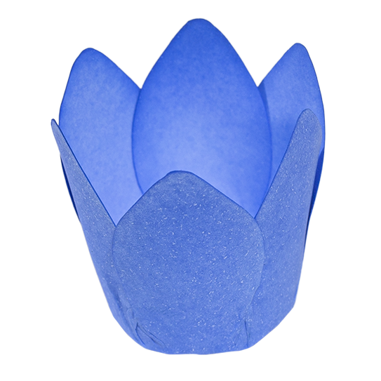 MÔNACO   AZUL CLARO