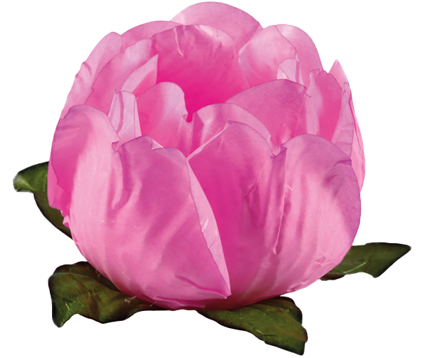 PRINCESA ROSA CLARO