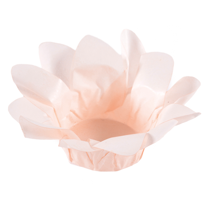 LÍRIO CREME