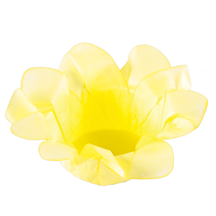 LÍRIO AMARELO CLARO