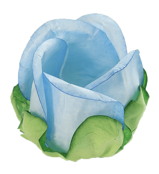 BOTÃO DE ROSA  AZUL CLARO