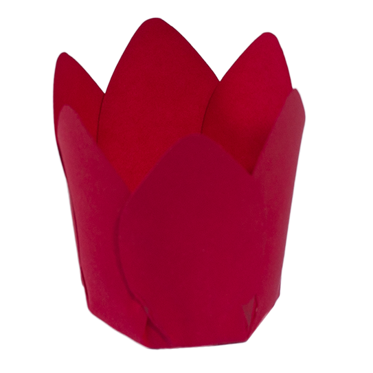 MÔNACO   VERMELHO