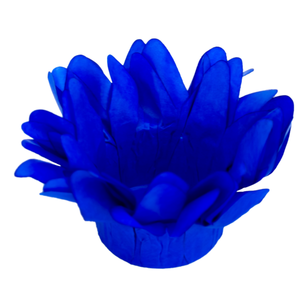 MADRI AZUL ROYAL