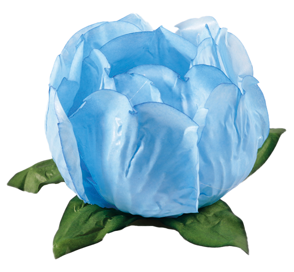 PRINCESA AZUL CLARO