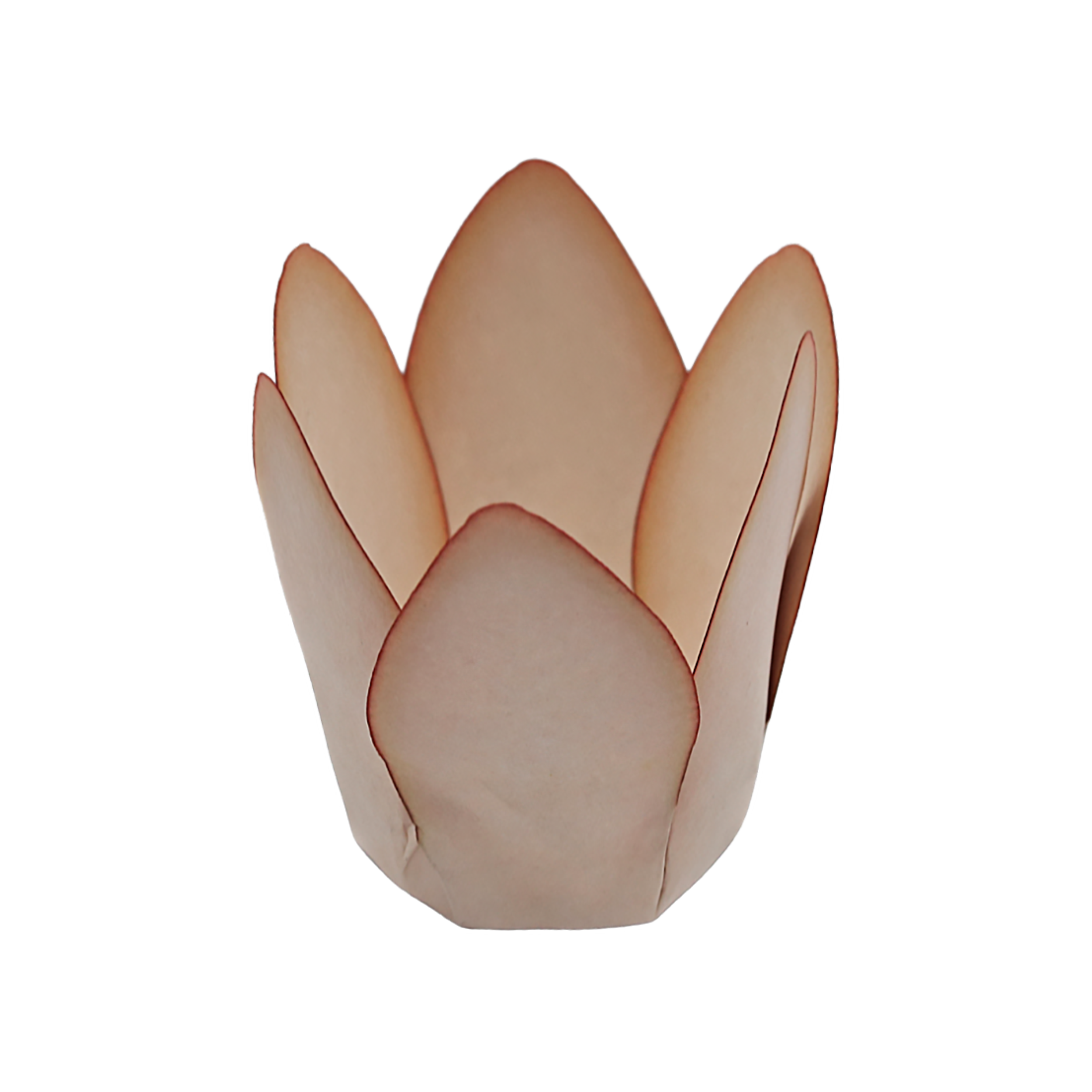 MÔNACO VANILLA